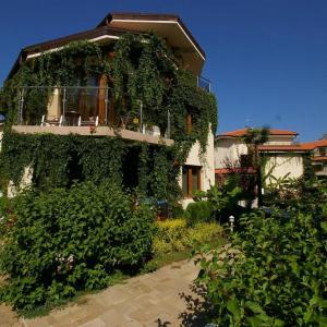 Laguna Beach Resort & Spa - 31
