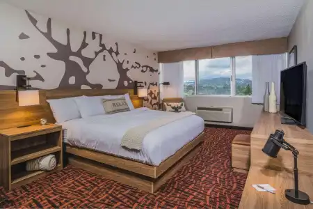 Holiday Inn Estes Park by IHG - 4