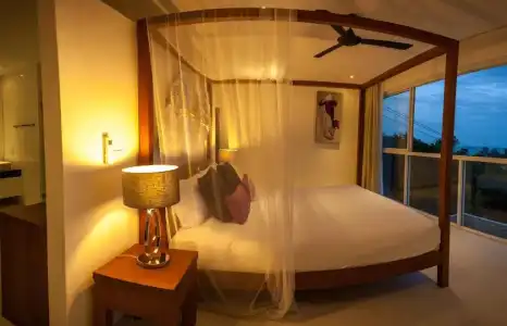 Samui Blue Orchid - 57