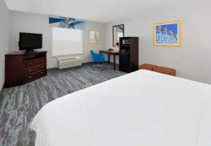 Hampton Inn & Suites Dallas-Arlington-South - 37