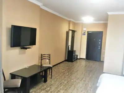 Apartment on Pirosmani 1 - 13
