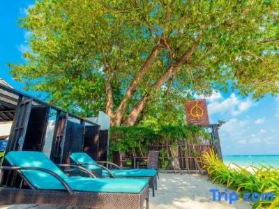 Chaweng Garden Beach Resort - 165