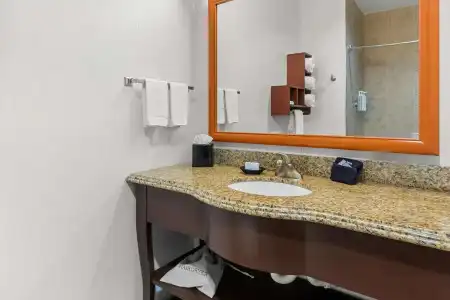 Hampton Inn & Suites Abilene I-20 - 70