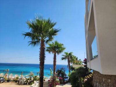 Summer Dream - 12