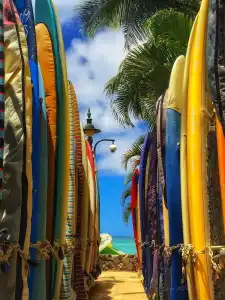 Tropical Studios at Marine Surf Waikiki - 69