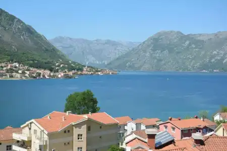 Apartments Dobrotski Dvori - 51