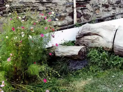 Nino Khetaguri Guest House - 26