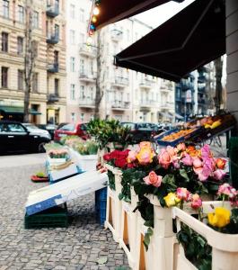 Pfefferbett Hostel - 16