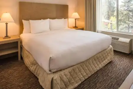 The Newberry Bend, Tapestry Collection by Hilton - 36