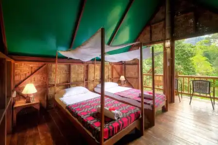 Our Jungle Camp - Eco Resort - 23