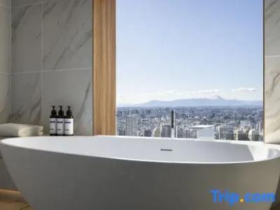 Hyatt Regency Tokyo - 87