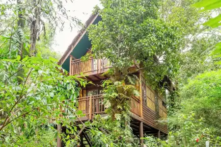 Our Jungle Camp - Eco Resort - 51