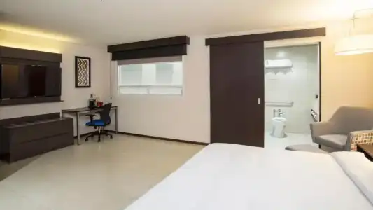Holiday Inn Express Mexico Basilica by IHG - 51