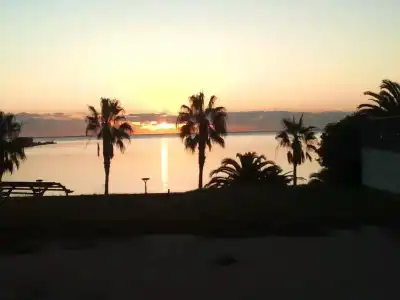 Miami Mar - 7