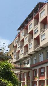 Robinia - 37