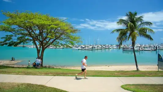 Shingley Beach Resort - 41