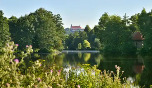 Holiday Inn Express Fulda by IHG - 44