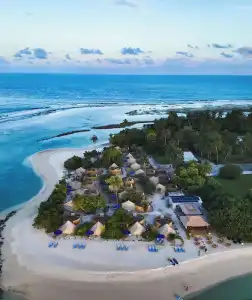 The Maverick Surf and Dive Boutique - 34