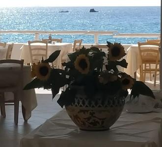 Villaggio Agrumeto - 16