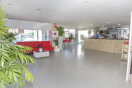 Vista Oasis - 1