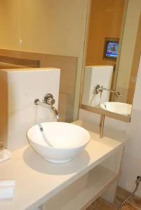 Sarovar Portico Naraina Delhi - 69