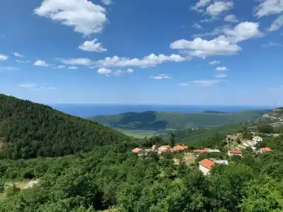 Vila Vuk - 16