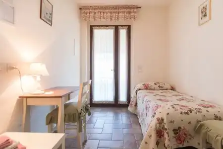 Rosa di Assisi - 51