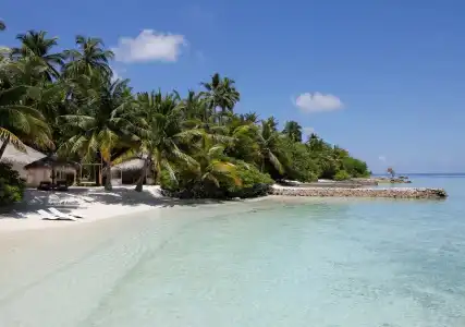 Nika Island Resort & Spa - 23
