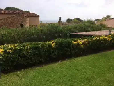 Hôtel la Pinède - 69