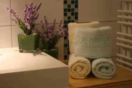 ApartHochwald - 16