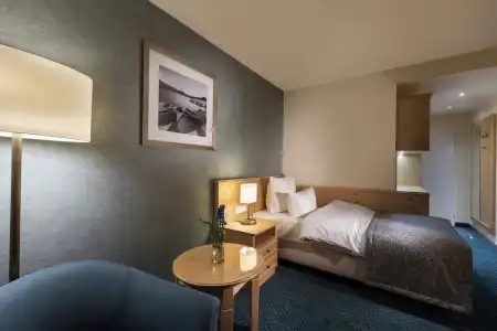 Maritim TitiseeTitisee-Neustadt - 89