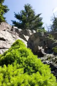 The Grand Nanaimo - 3