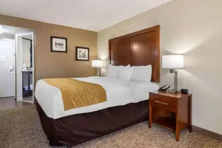 Spark by Hilton Atlanta Airport South College Park - 66