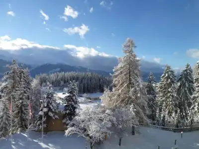 Alpine Dependance by Arenas Resort Valaisia - 49