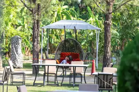 Dreamland Gold Resort - 73