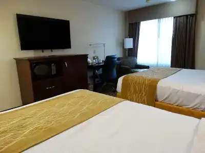 Comfort Inn & Suites - 35