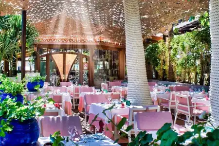 Parque Tropical - 8