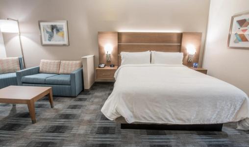 Holiday Inn Express & Suites HOUSTON WESTCHASE - WESTHEIMER by IHG - 48