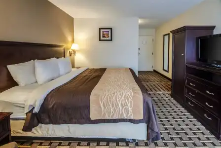 Comfort Inn & Suites - 4
