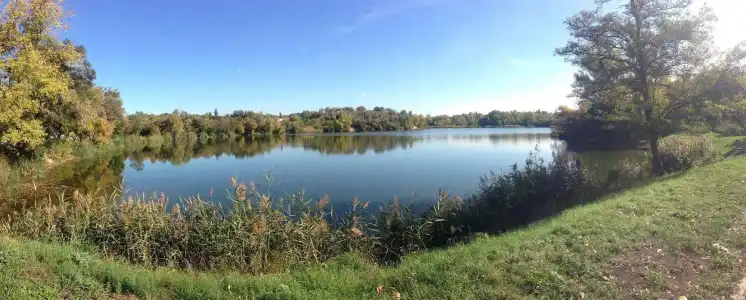 Druzhba and Restaurant - 14