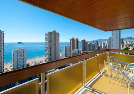 Don Pancho - Designed for Adults - 22