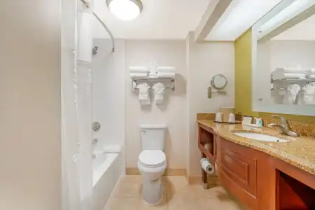Comfort Inn Anaheim Resort - 8