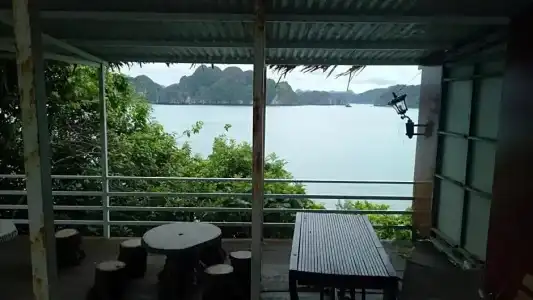 Monkey Island Resort - 56
