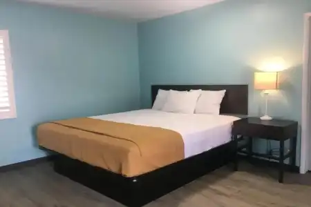 NOHO - 18