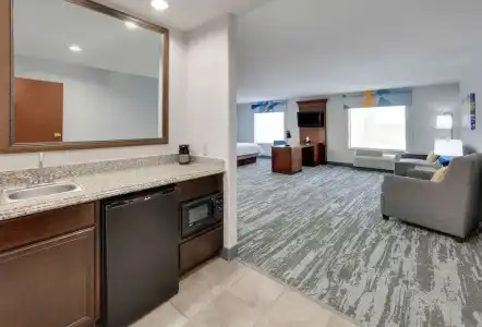 Hampton Inn & Suites Dallas-Arlington-South - 75