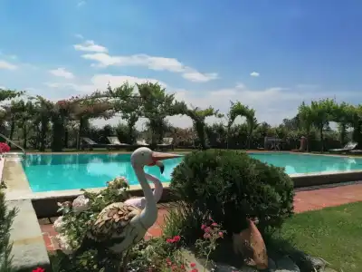 Podere Piandarca - 16