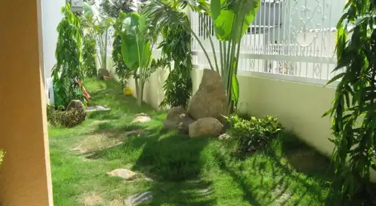 Saigon - PT - 15
