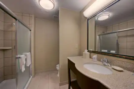 Hampton Inn & Suites Oklahoma City-Bricktown - 8