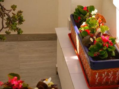 Maravillas del Mundo - 10