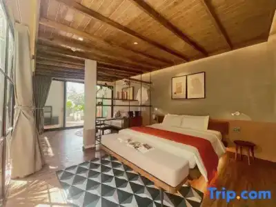Joi Boutique Bai Truoc - 201